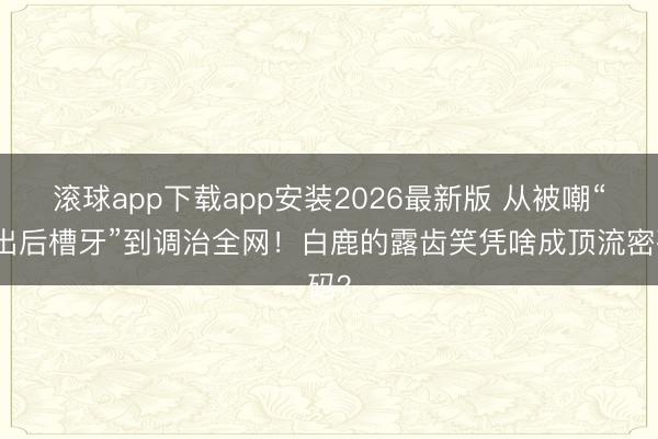 滚球app下载app安装2026最新版 从被嘲“笑出后槽牙”到调治全网！白鹿的露齿笑凭啥成顶流密码？