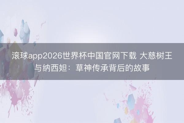 滚球app2026世界杯中国官网下载 大慈树王与纳西妲：草神传承背后的故事