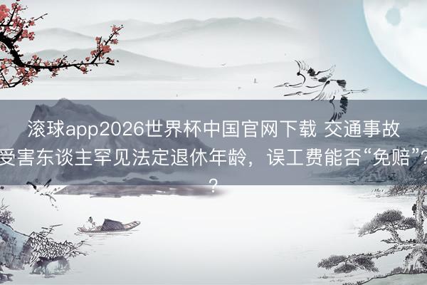 滚球app2026世界杯中国官网下载 交通事故受害东谈主罕见法定退休年龄，误工费能否“免赔”？