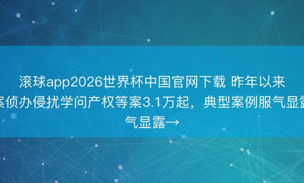 滚球app2026世界杯中国官网下载 昨年以来立案侦办侵扰学问产权等案3.1万起，典型案例服气显露→