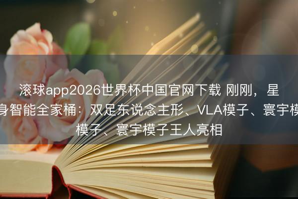 滚球app2026世界杯中国官网下载 刚刚，星海图甩出具身智能全家桶：双足东说念主形、VLA模子、寰宇模子王人亮相