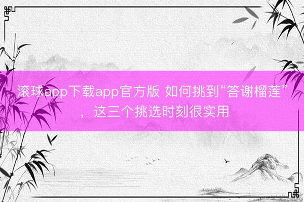 滚球app下载app官方版 如何挑到“答谢榴莲” ,这三个挑选时刻很实用